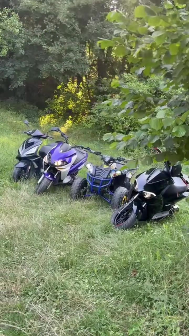 @Neso🇧🇷🤙
