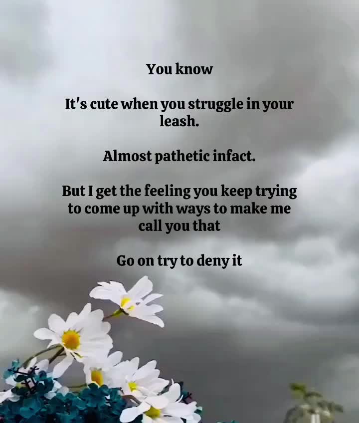 @🖤