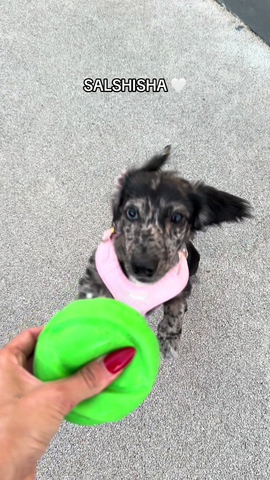 @Lu Rayes