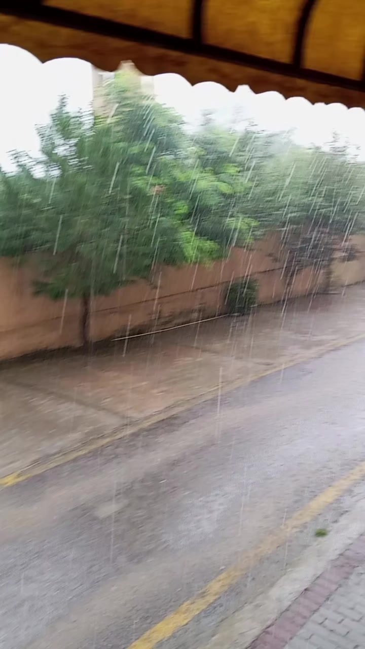 @malikmoheeb05