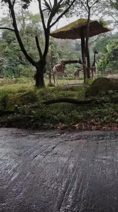 @Brian23