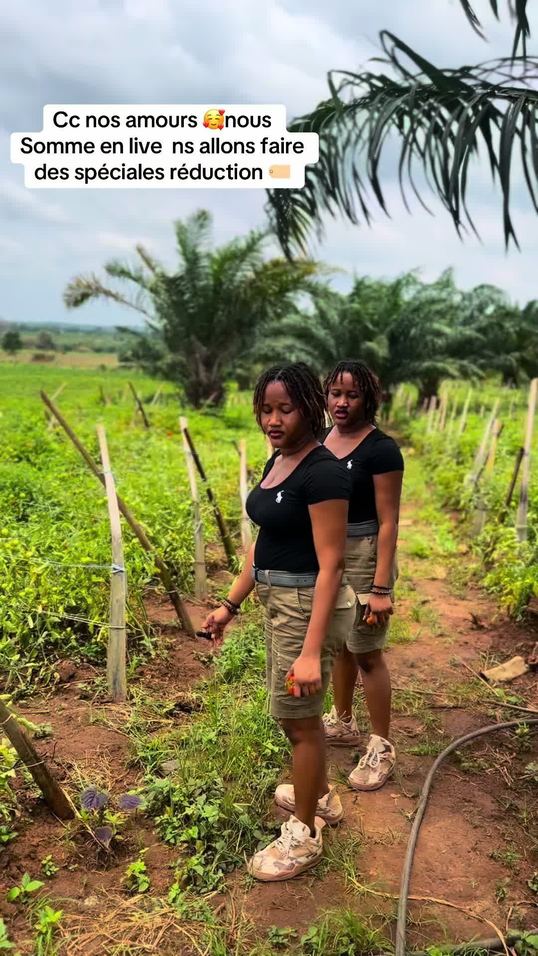 @AMORESSESTWINS