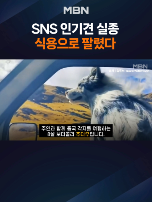 @MBN NEWS