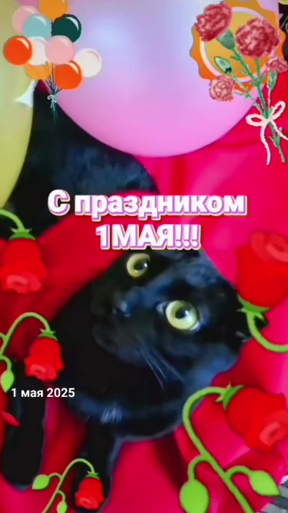 @ИрА😹Эля🐾🐾 ✔