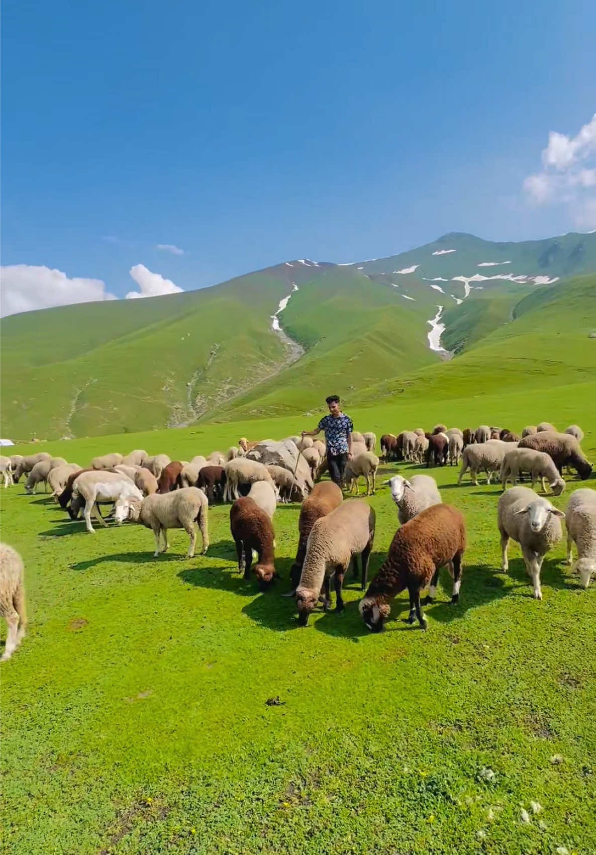 @Mr Sanoo سنی