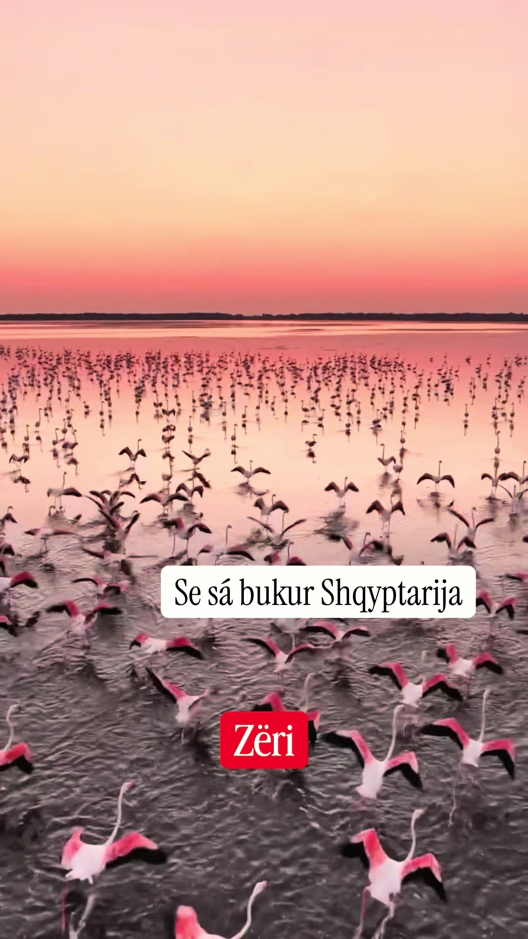 @Z&Euml;RI