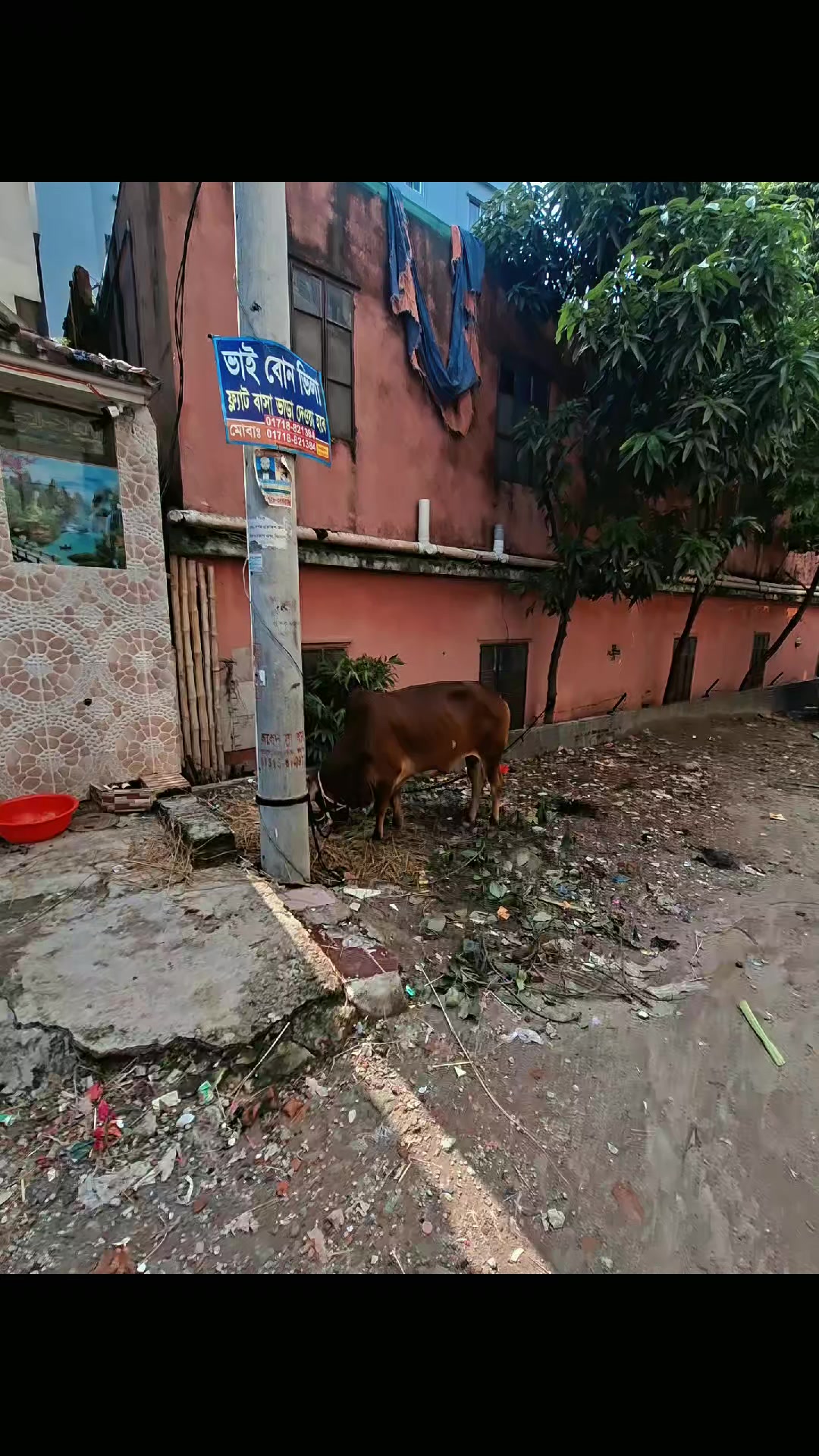 @Miraz Hossen