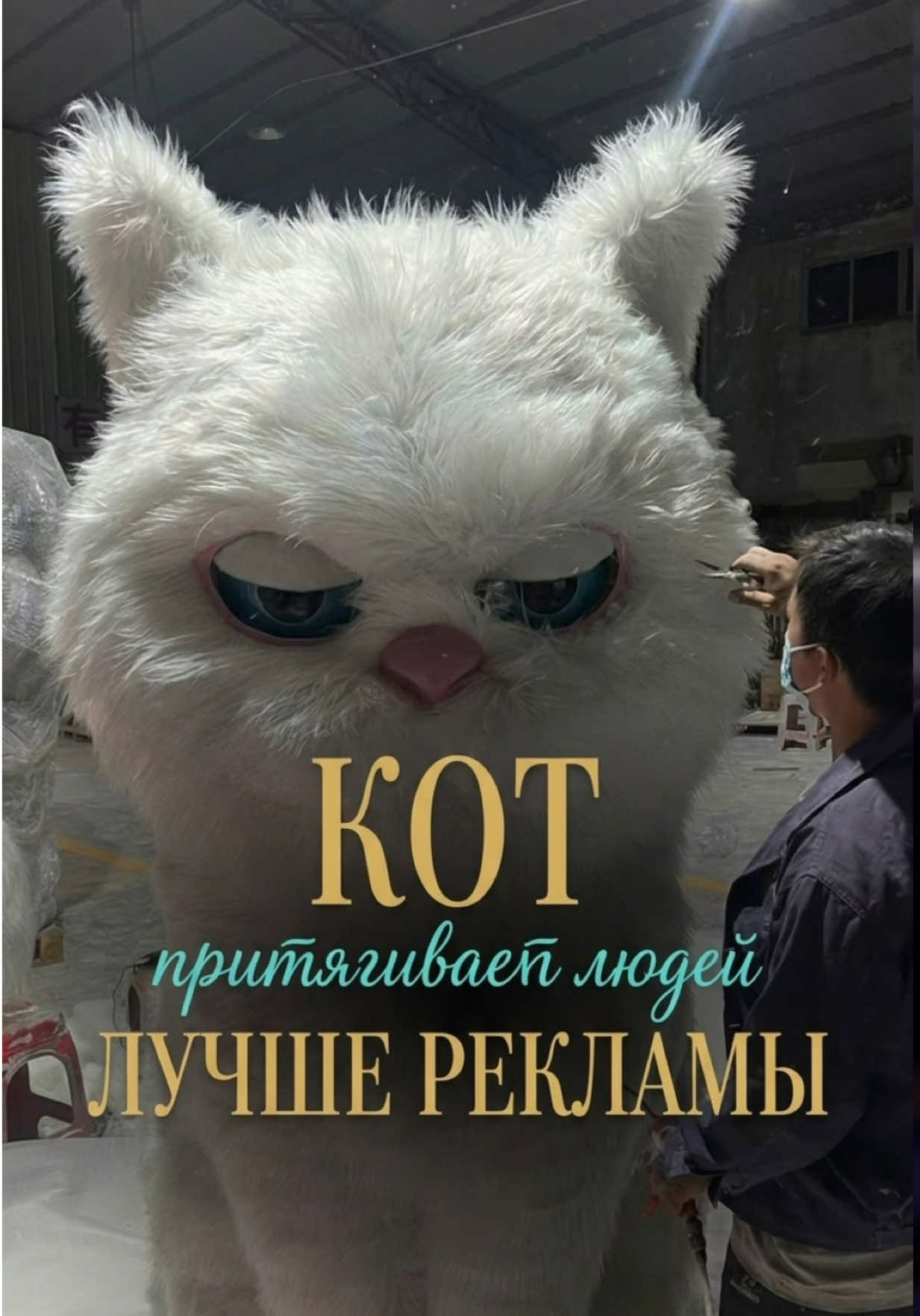 @Политова Анна Китай
