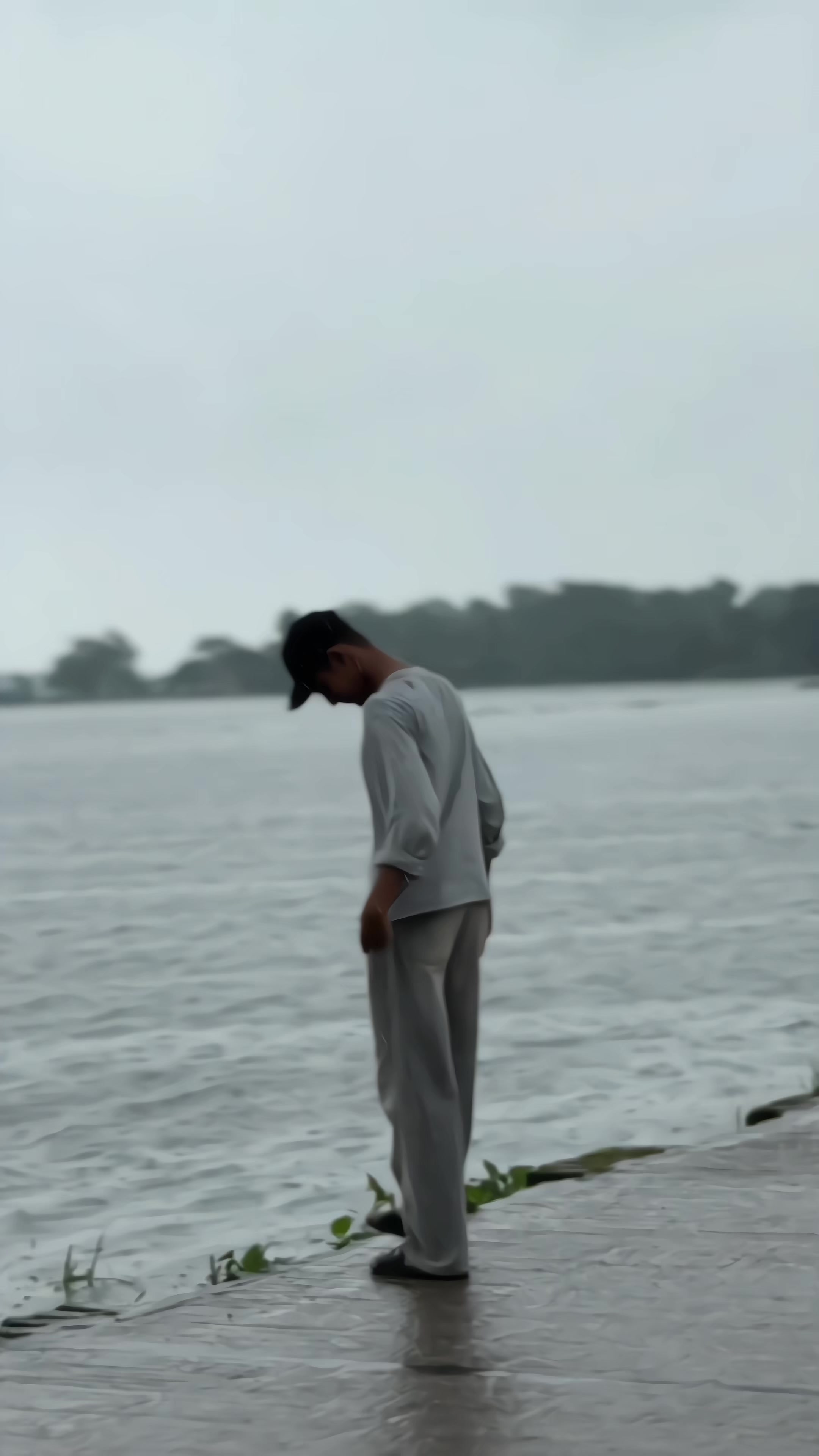 @T A N I M