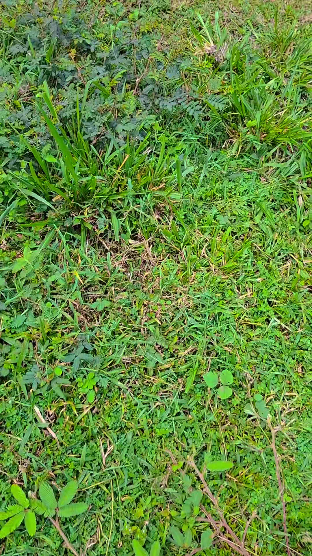 @&Eacute;Ł&iuml;ž&atilde;ňďř&otilde;😍