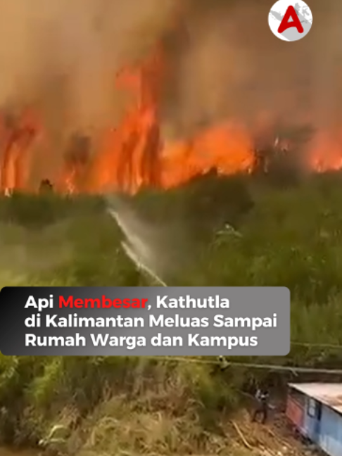 @AyoIndonesia.com