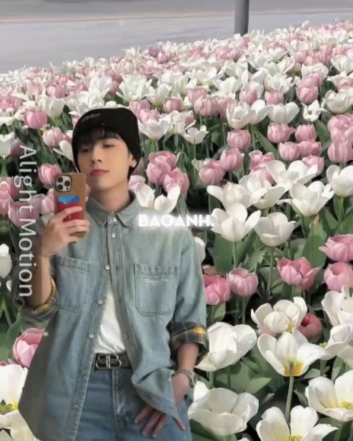 @bao anh.