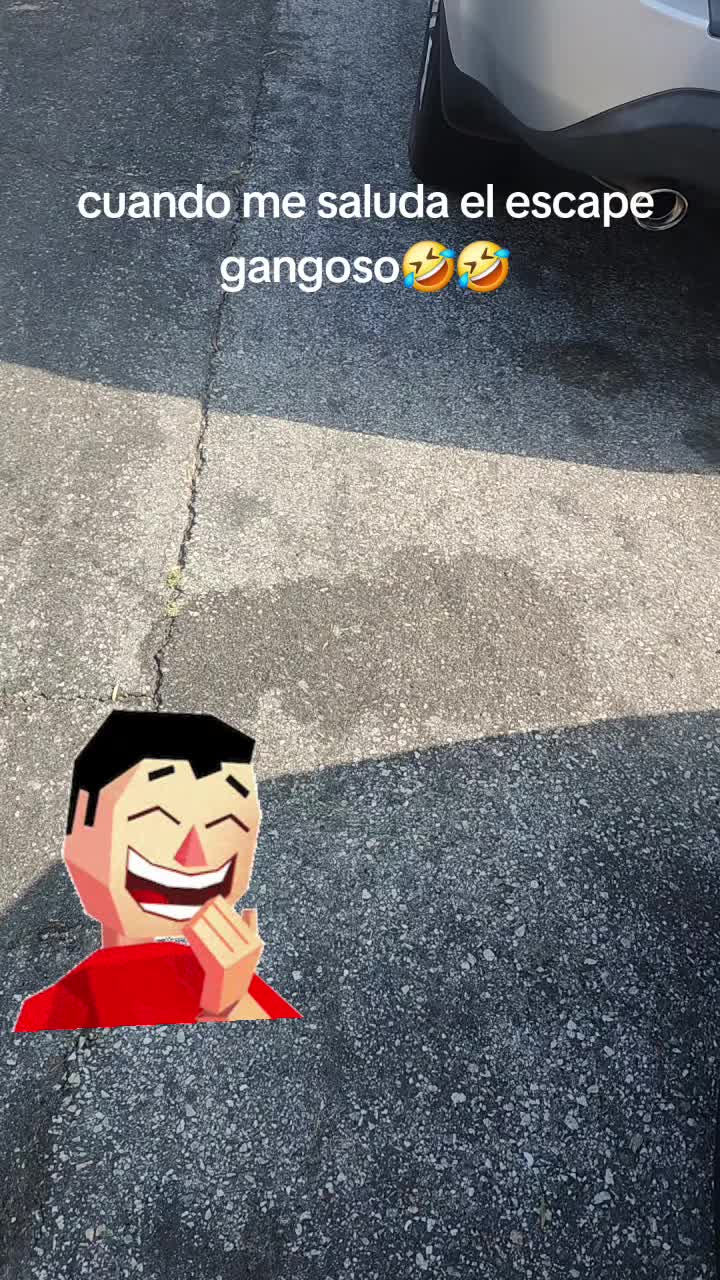 @G .. maldonado