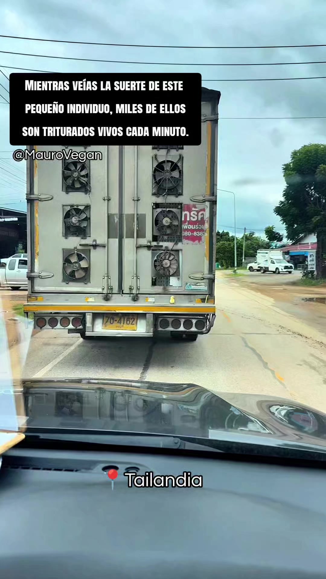 @Mauro Vegan🐑