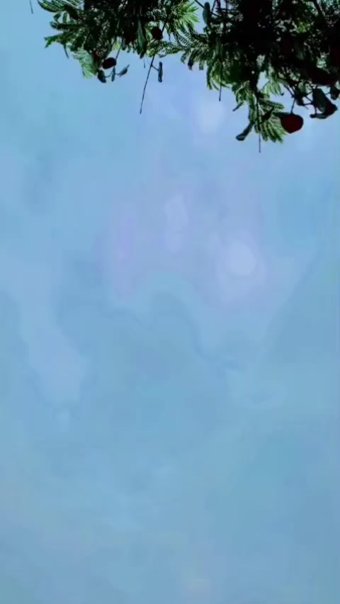 @ملک آصف