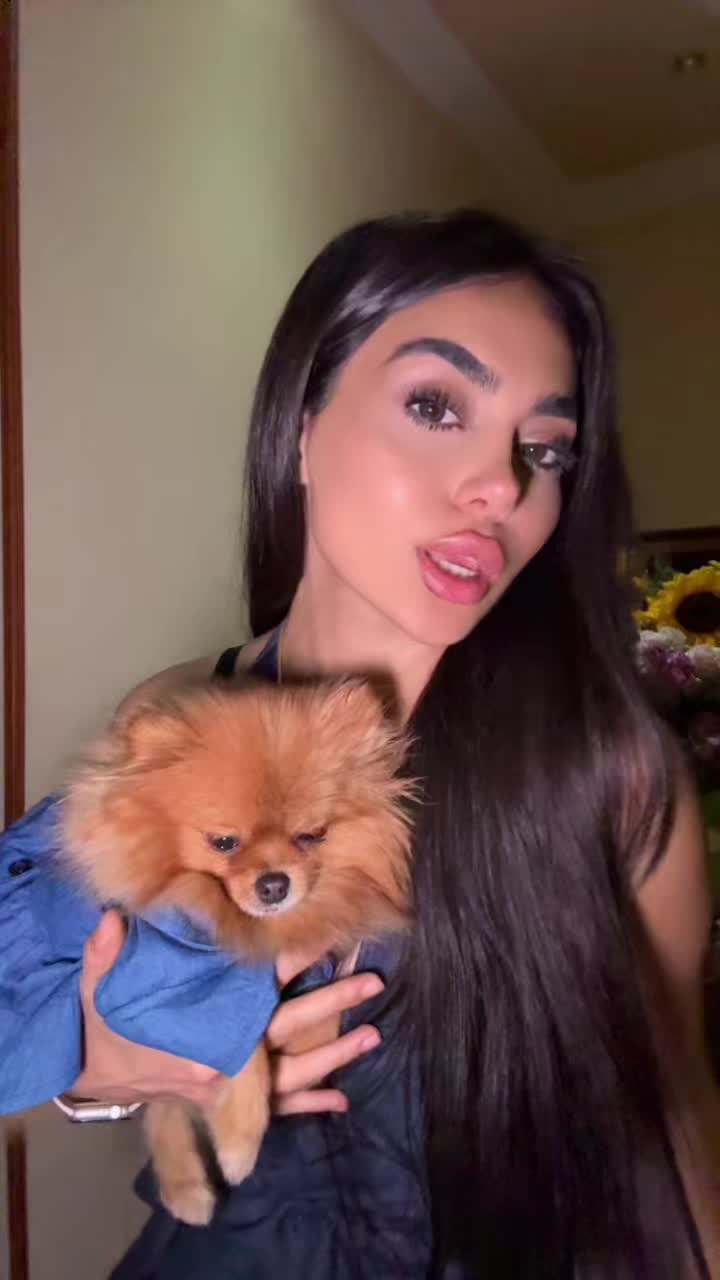 @siroonbysir