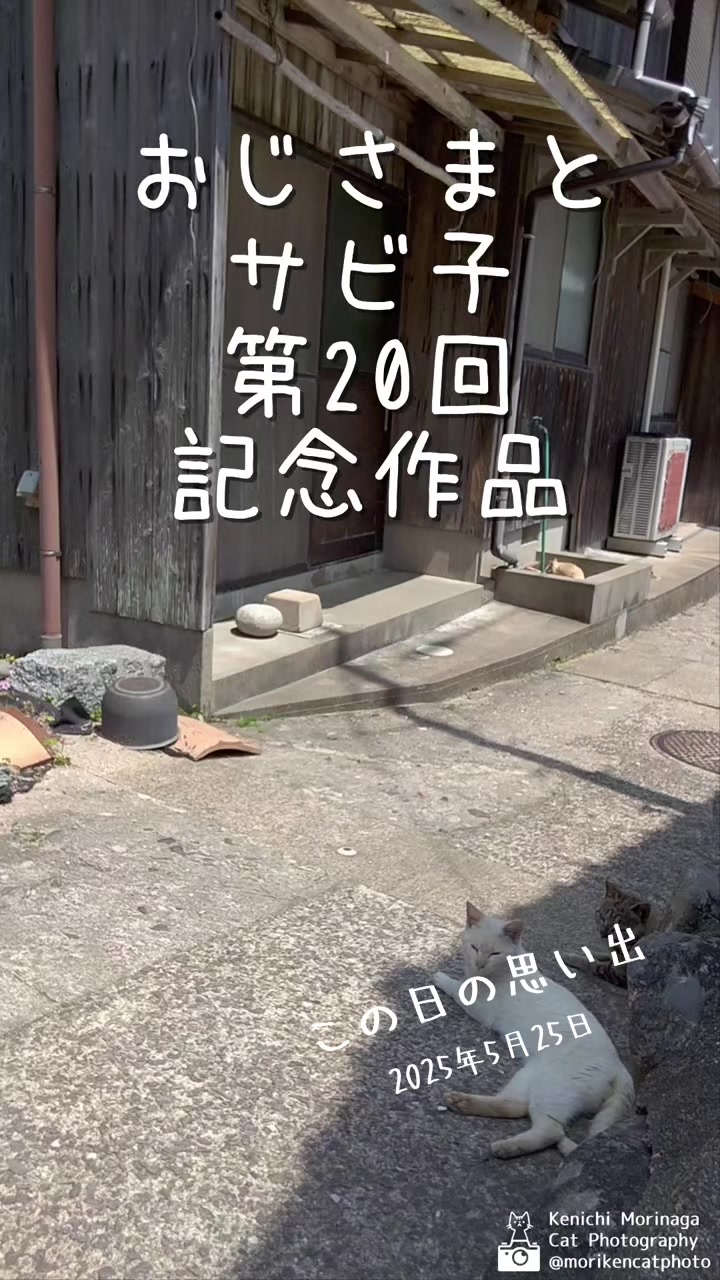 @猫写真家 森永健一