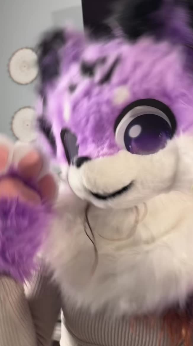 @caillazy