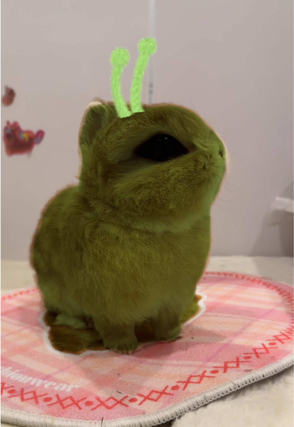 @Eggie