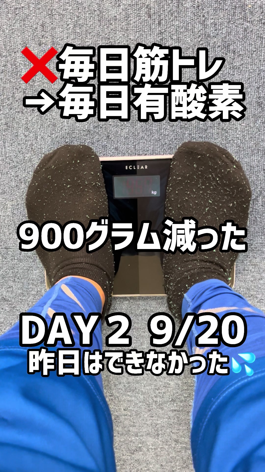 @マヒマヒトランポリン