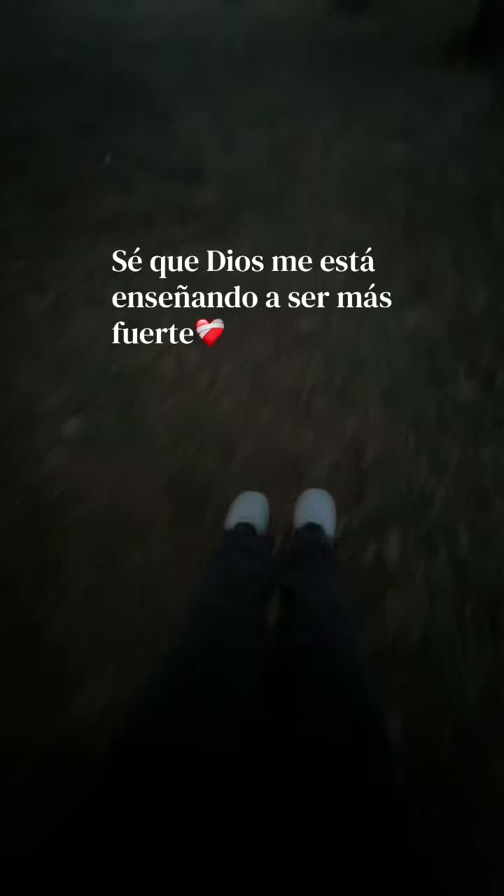 @ꨄ︎₊