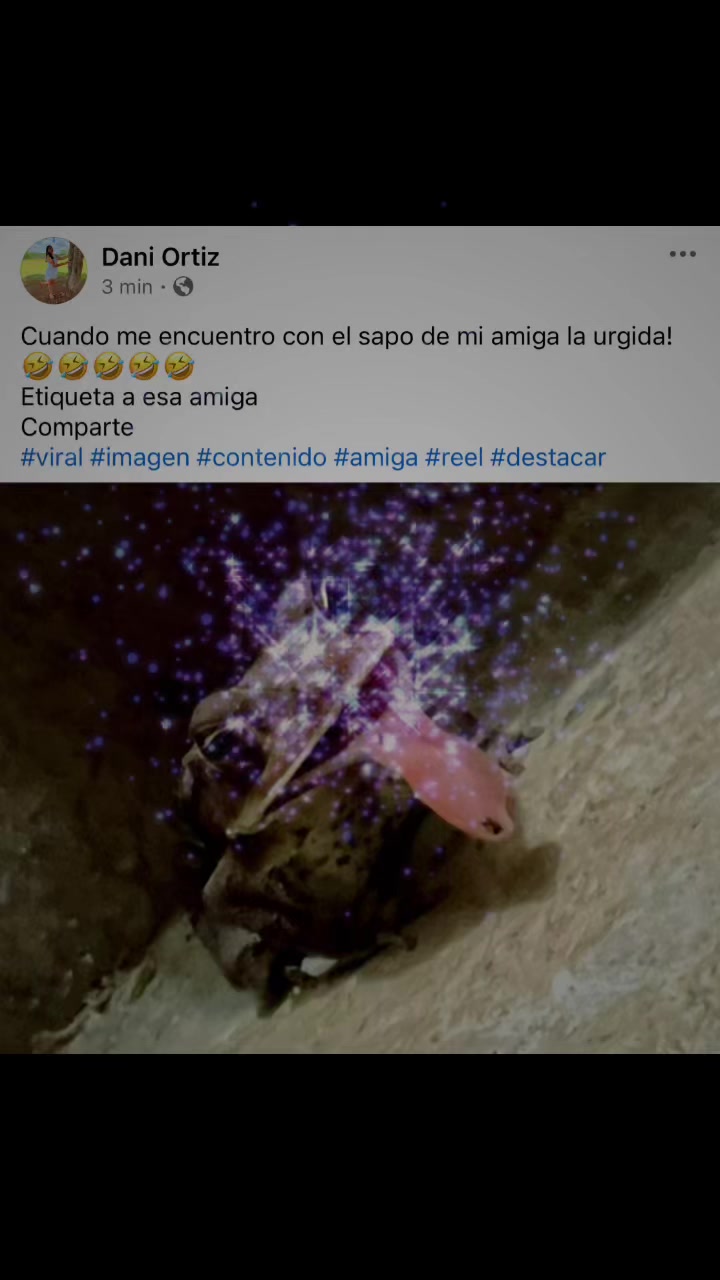 @Ani