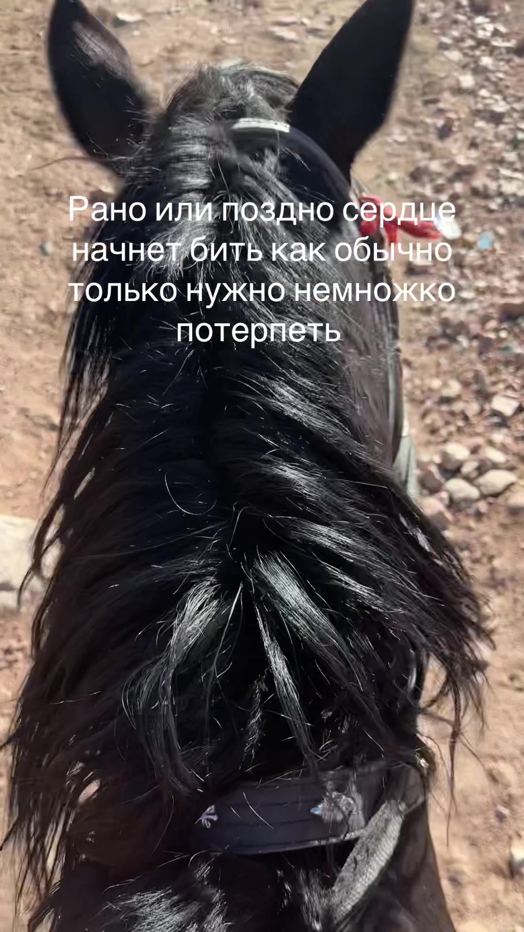 @R’🇺🇿