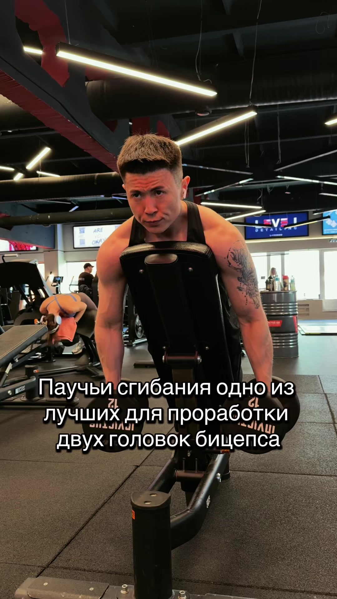 @pro100fitnessist