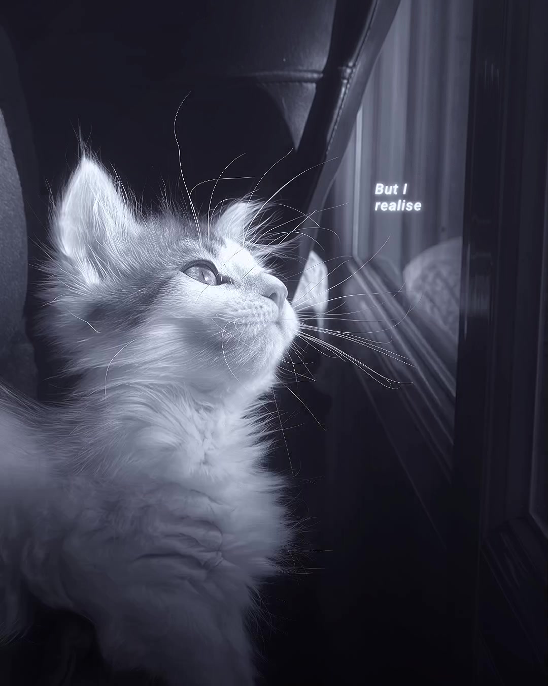 @Vbotメ