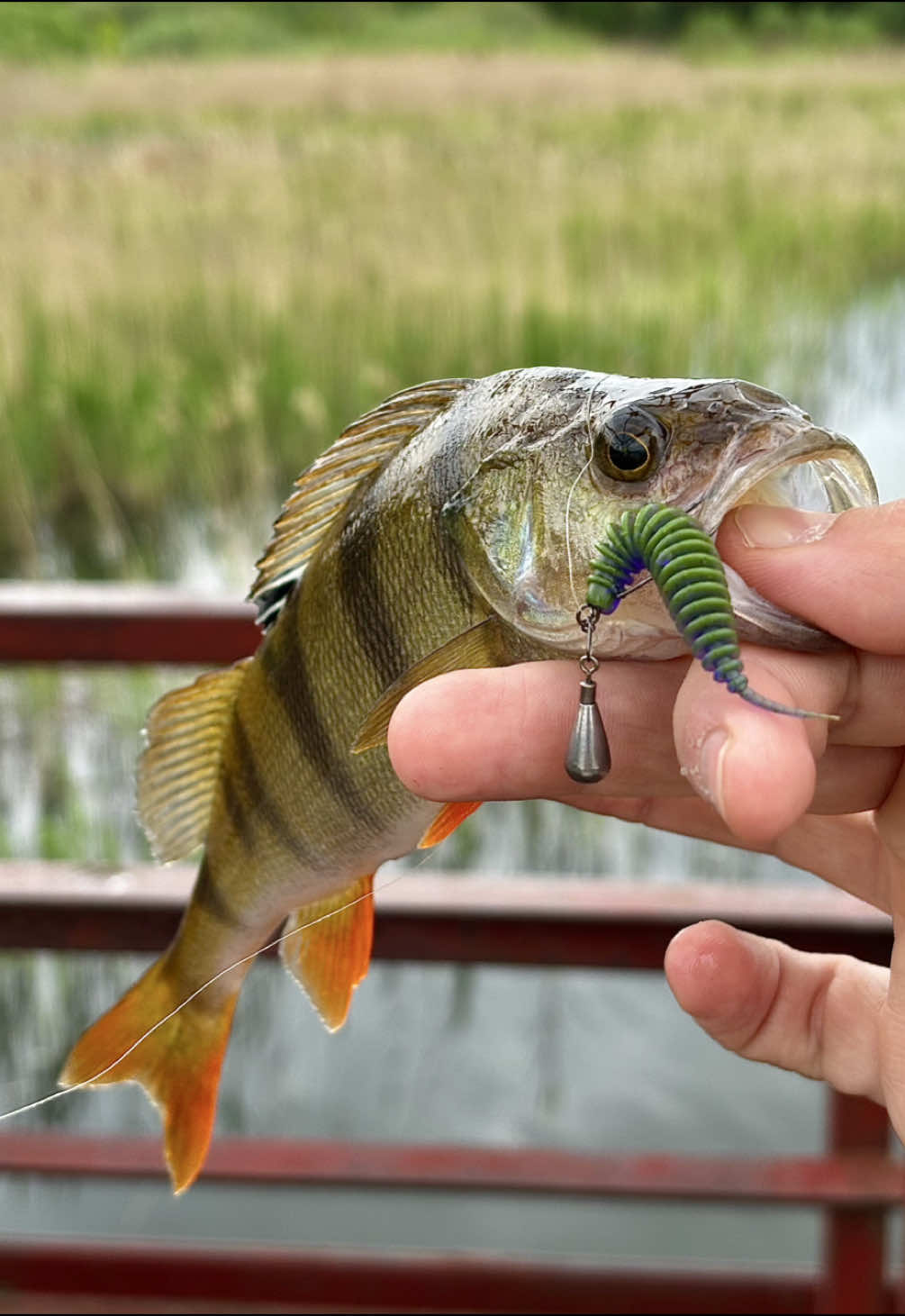 @Максим FastFisher