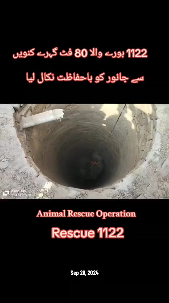 @Abrar Saleem Ch