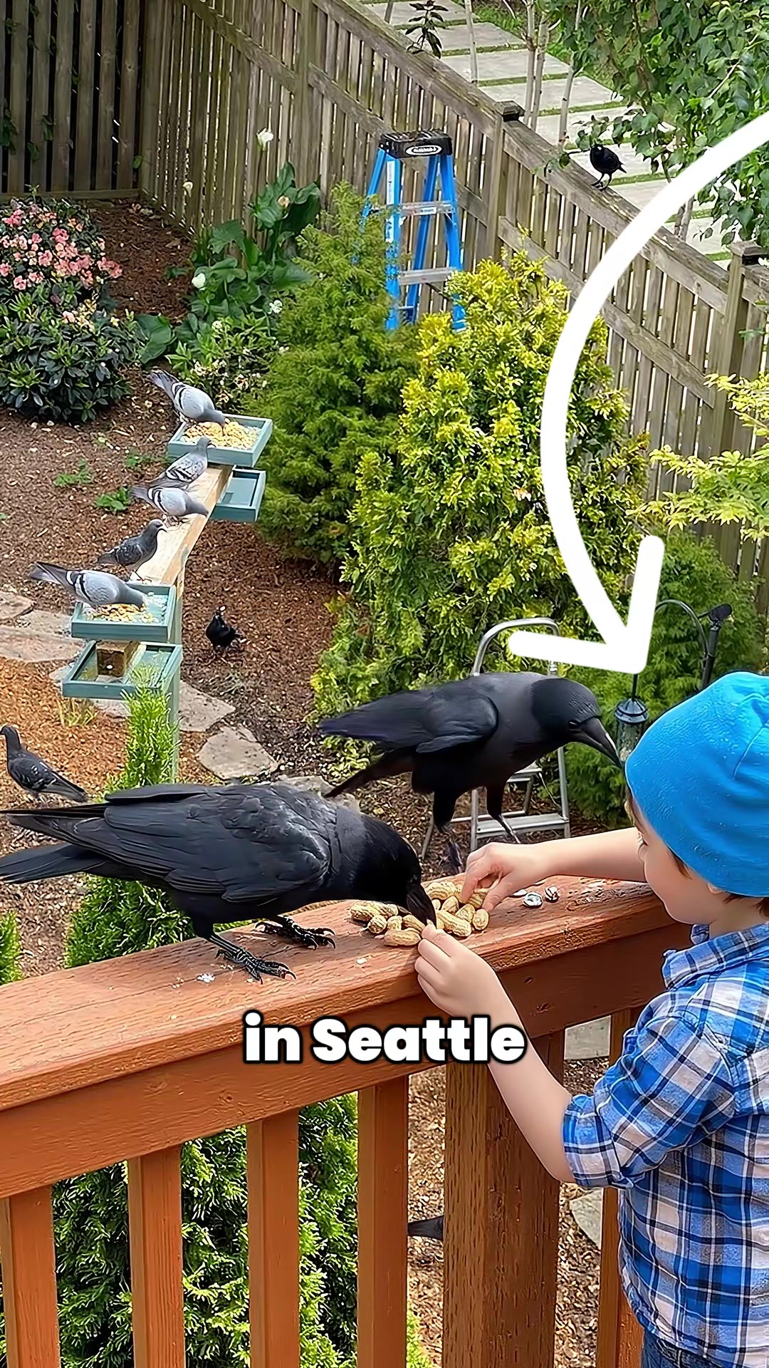 @Bird Lens