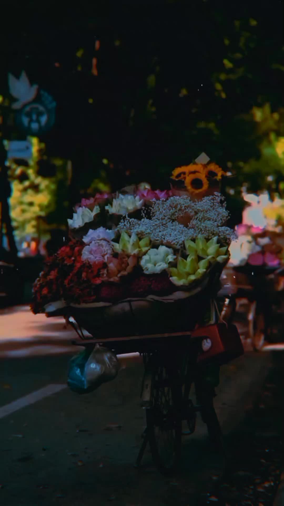 @ʜᴀɪᴅᴇʀɪ__wri8s