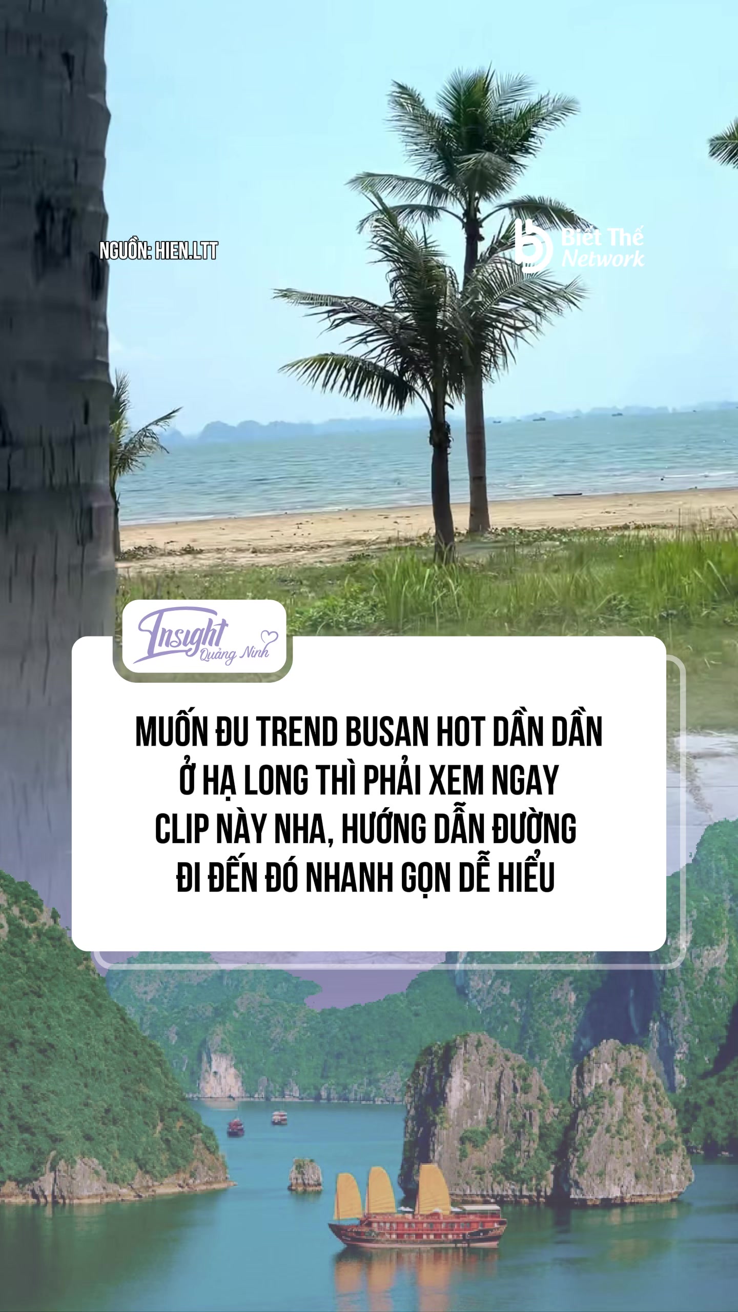 @Insight Quảng Ninh