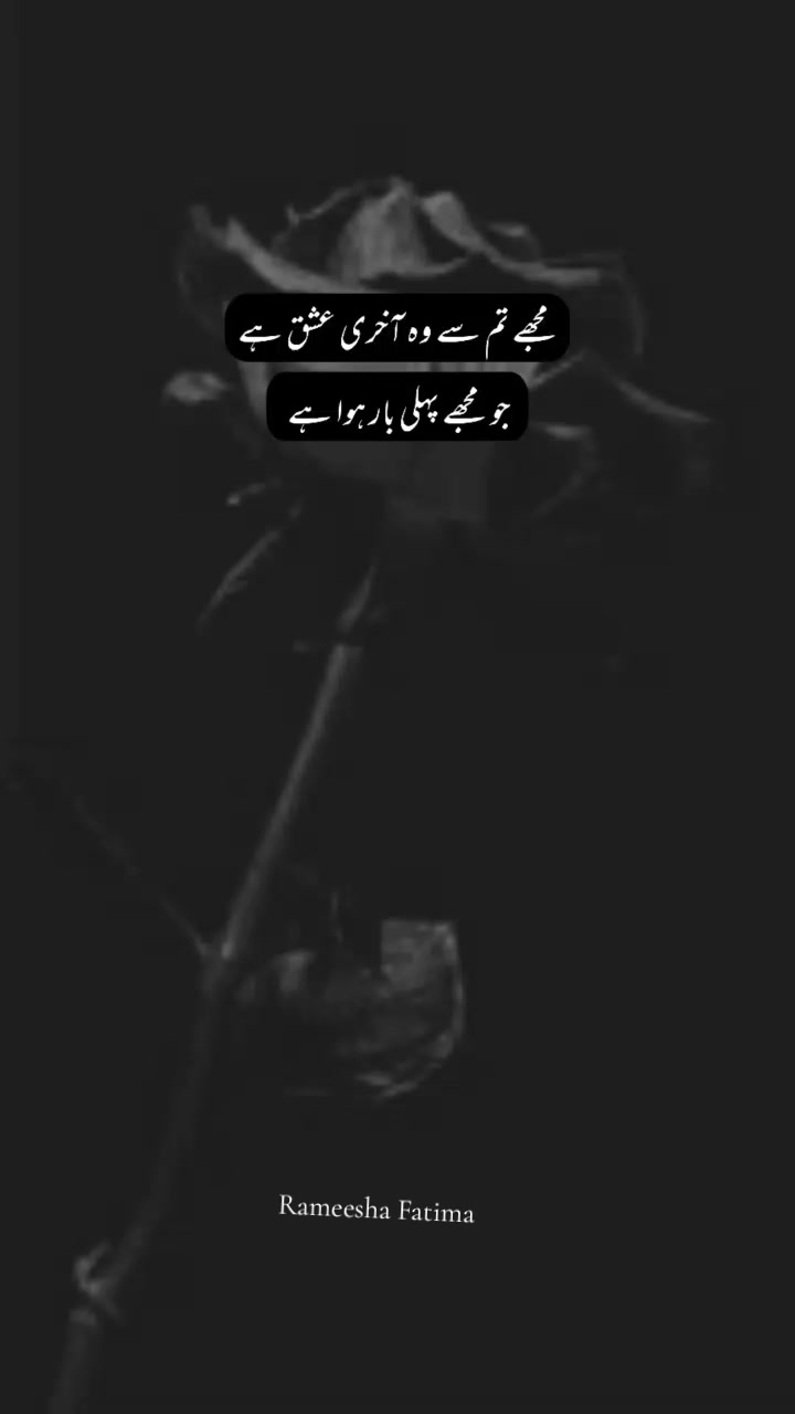 @Rameesha Fatima