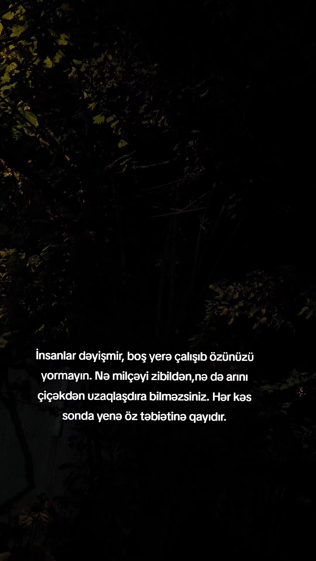 @Qruz Vaxtı