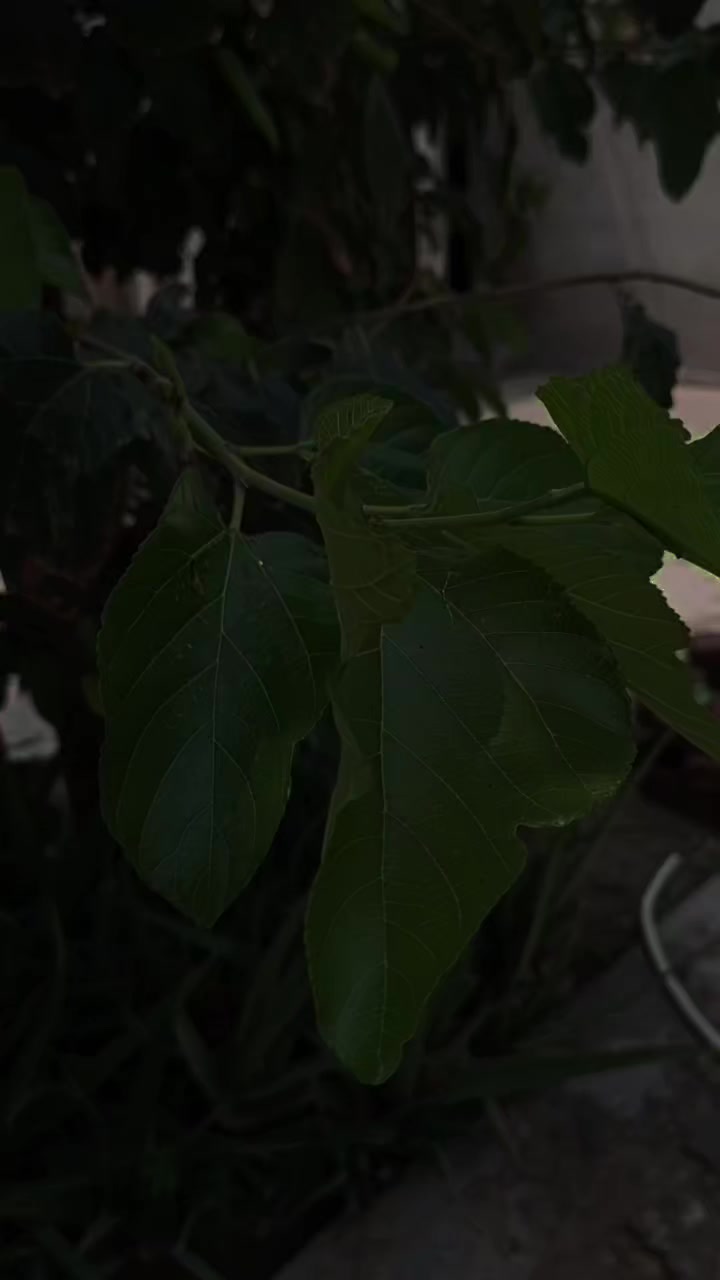 @𝑬 𝑴 𝑨 𝑵 ♥️