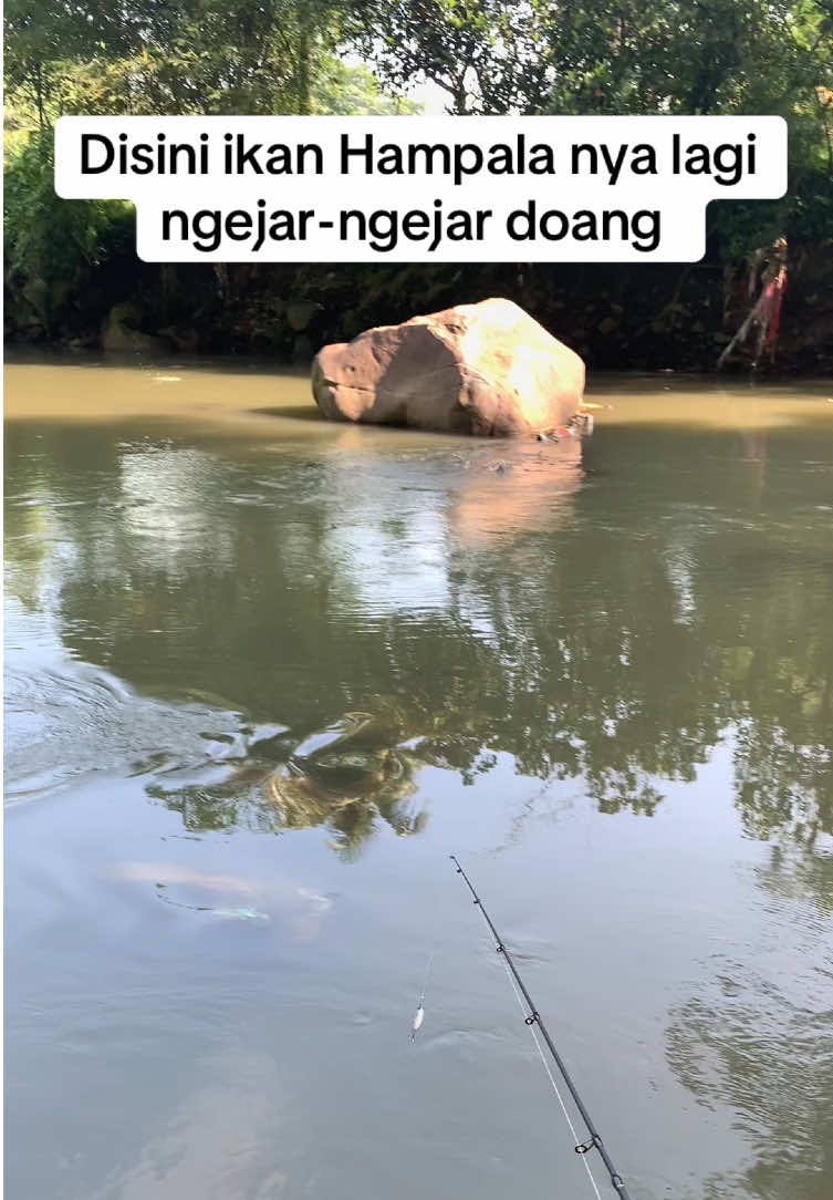 @Bang Fajri 🎣