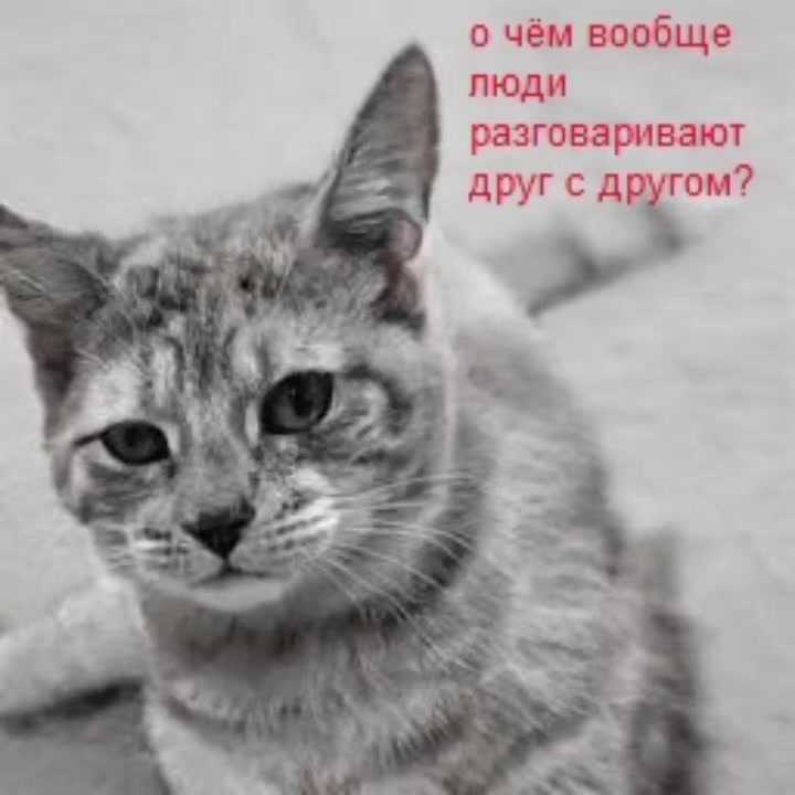 @Пепел