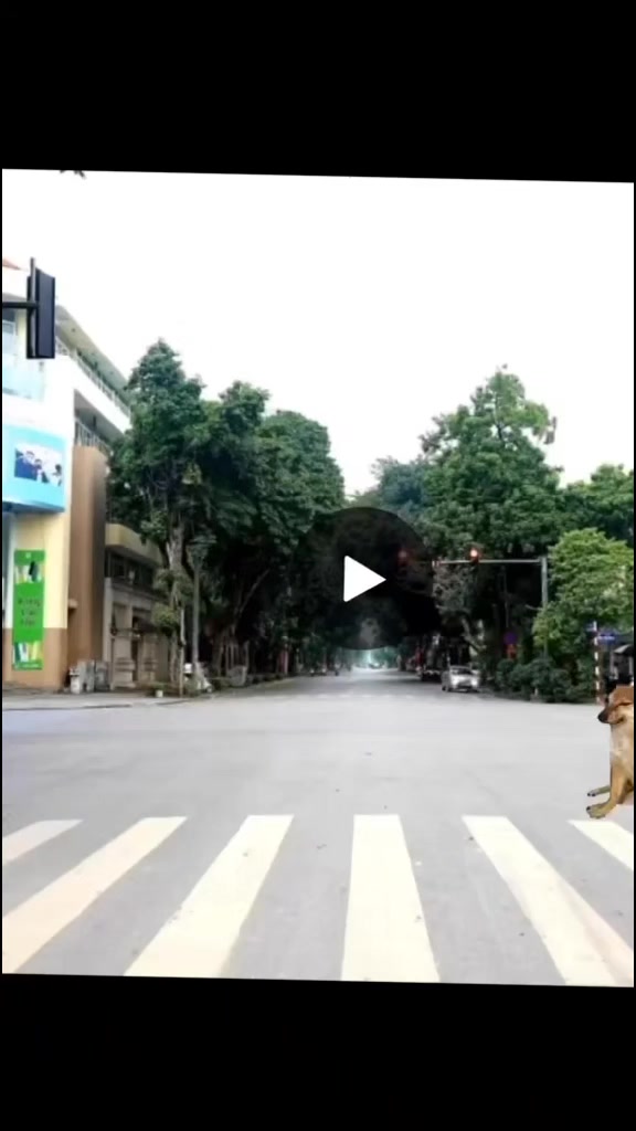 @T.Khánh.Đạt🫂