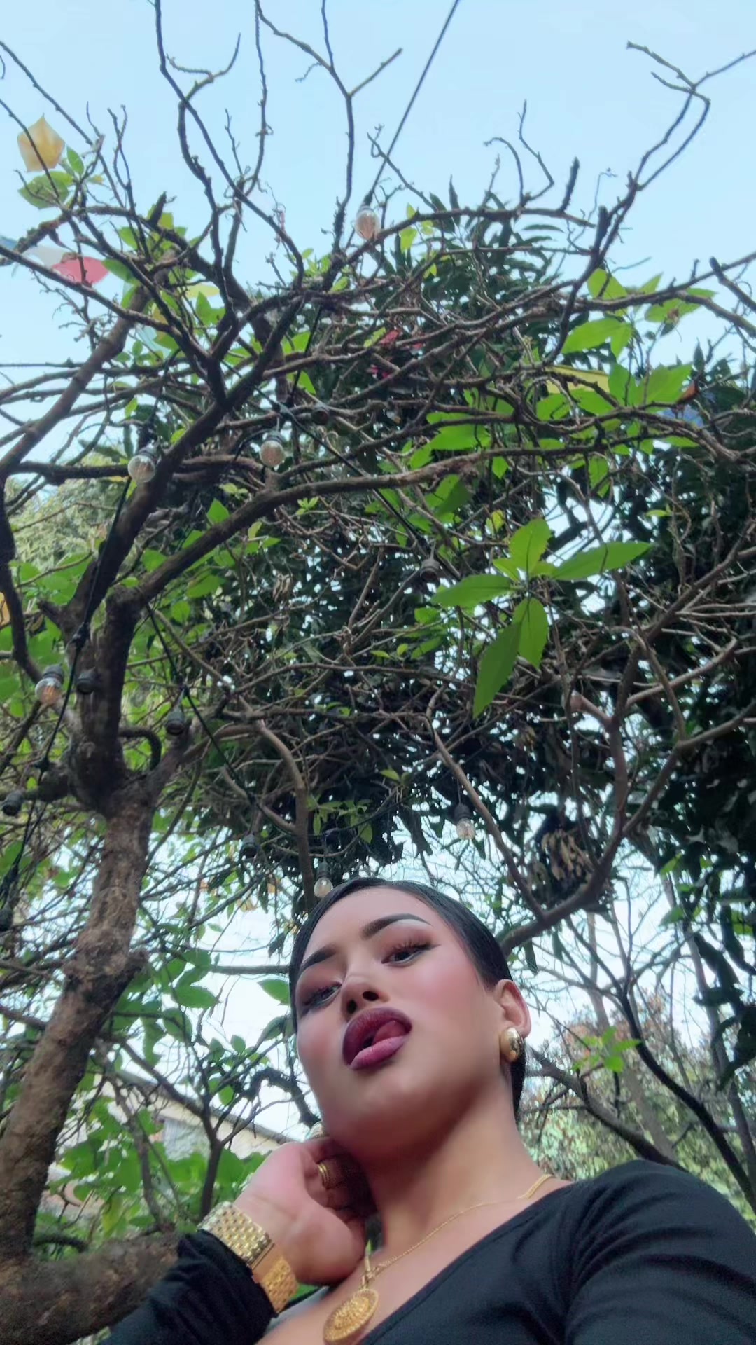 @roshnilamalo