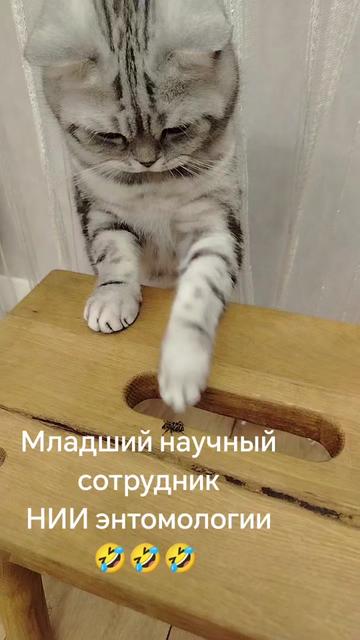 @Александр