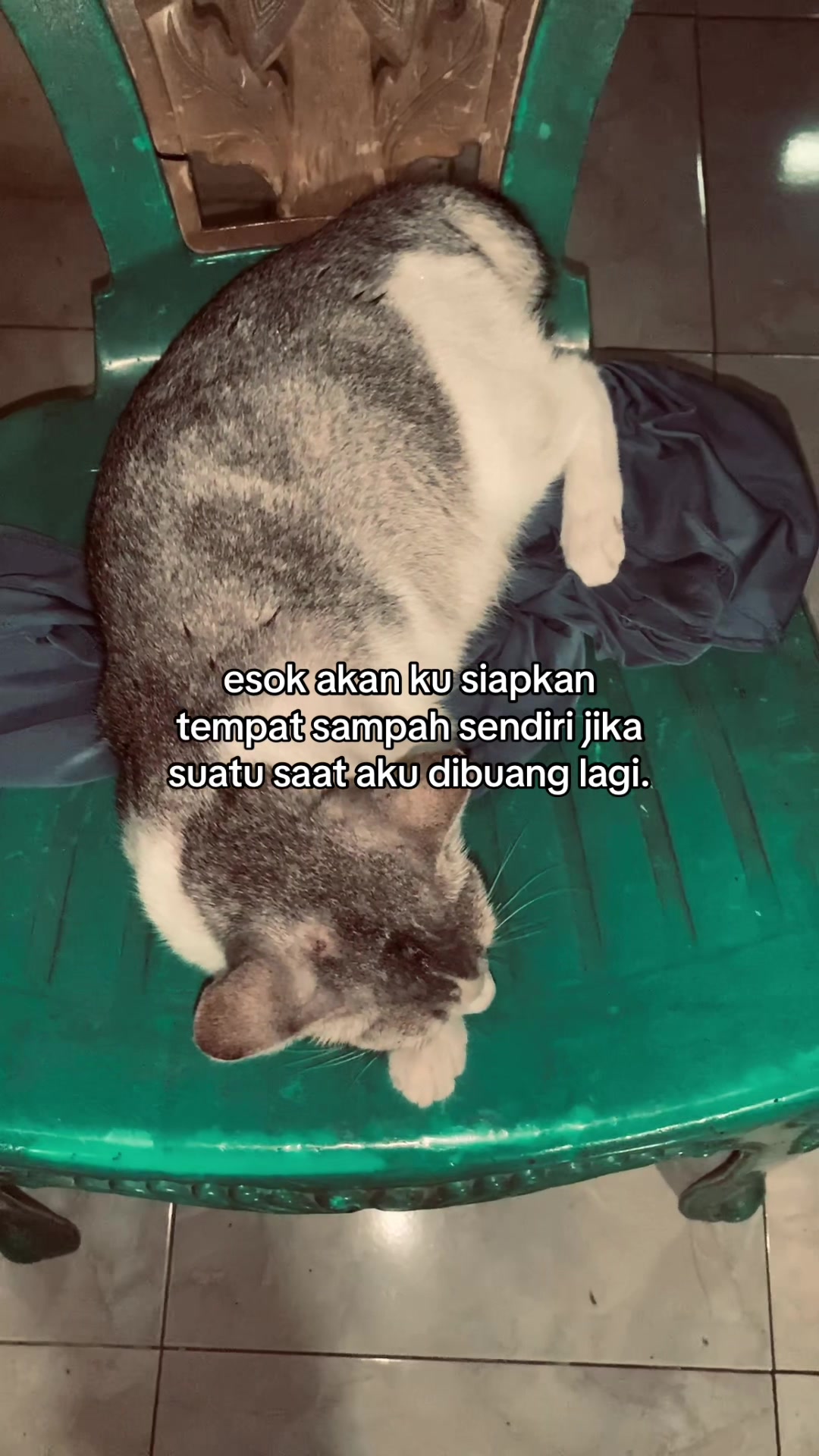 @lapolap