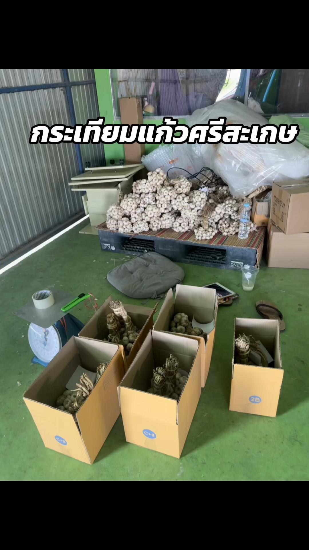 @เทศรุ่งเรืองวัสดุก่อ&การเกษตร