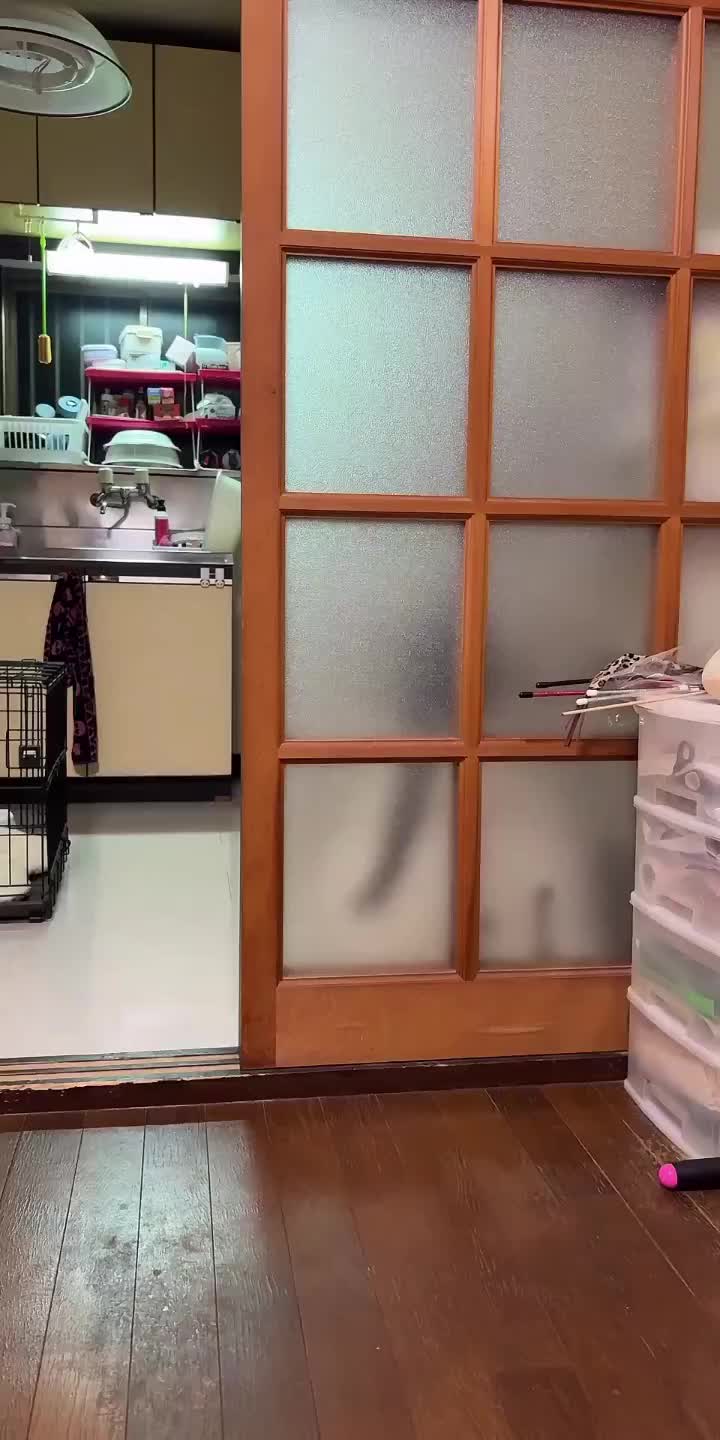 @๐ฑใใใใ๐ฑ