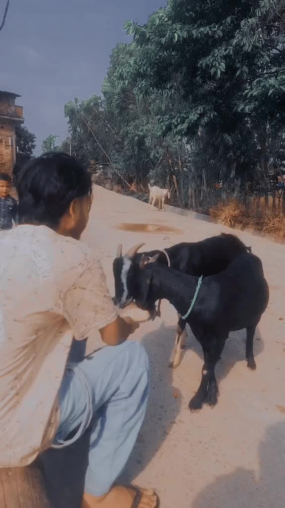 @Sajan Ji