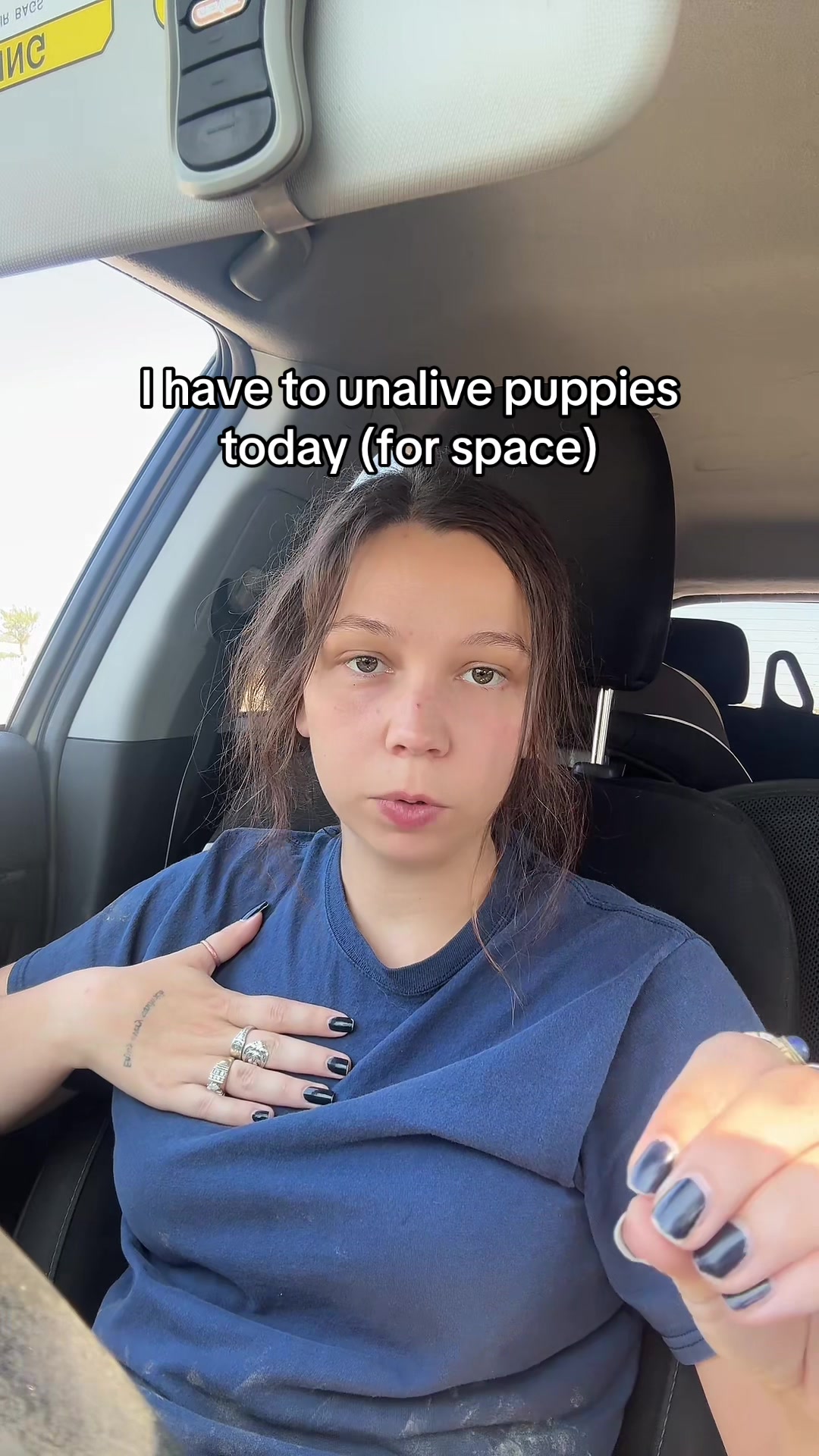@Kayleigh + Dogs