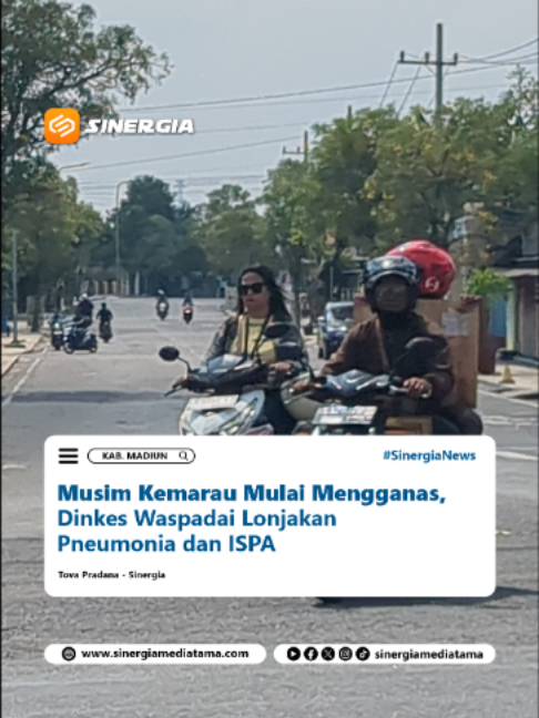 @SINERGIA MEDIATAMA