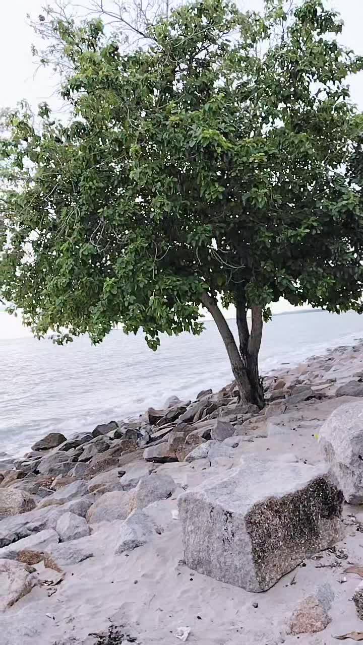 @MAN🇲🇾