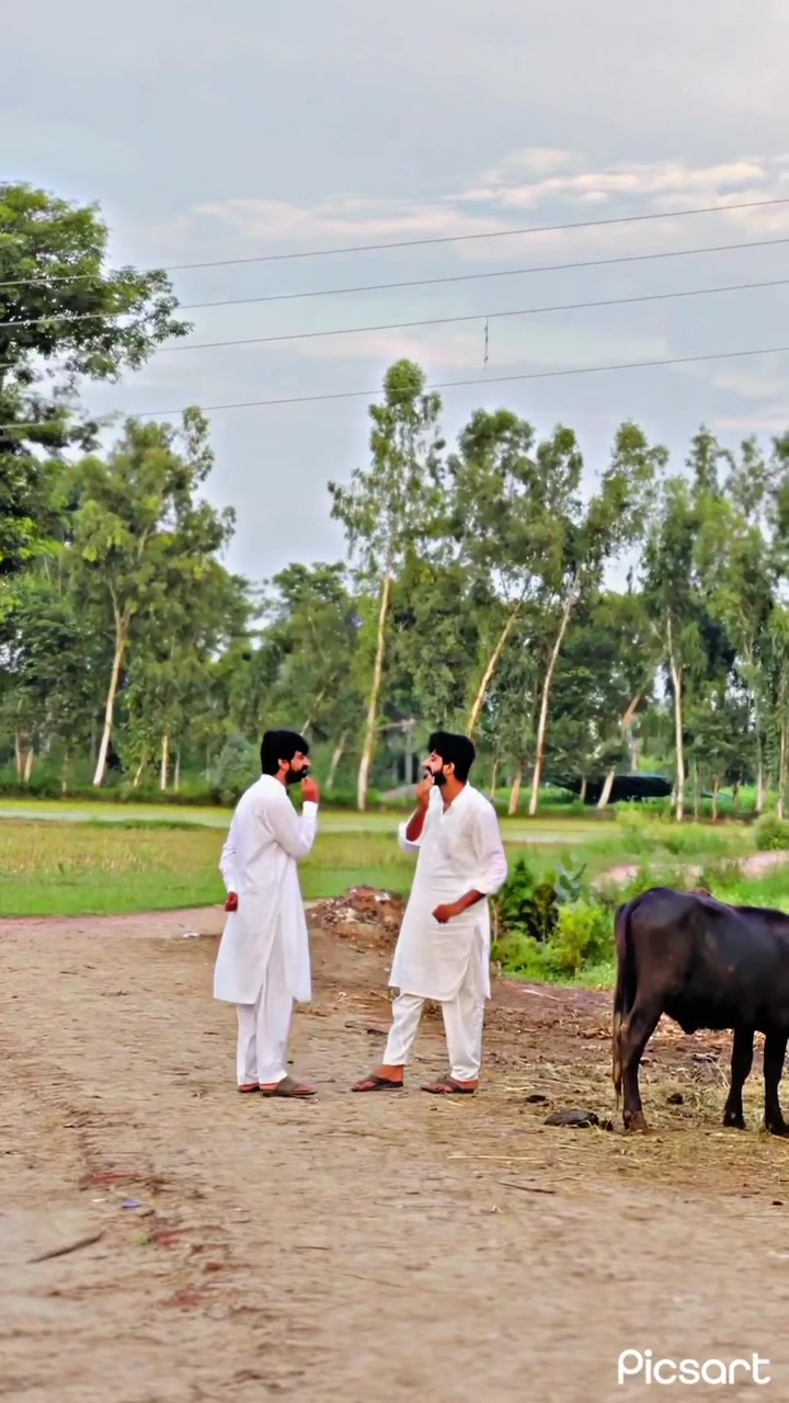 @قاسم رانجھا صلابت کا 🦅